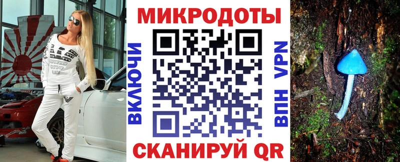 Псилоцибиновые грибы Psilocybe  купить наркоту  Сухиничи 